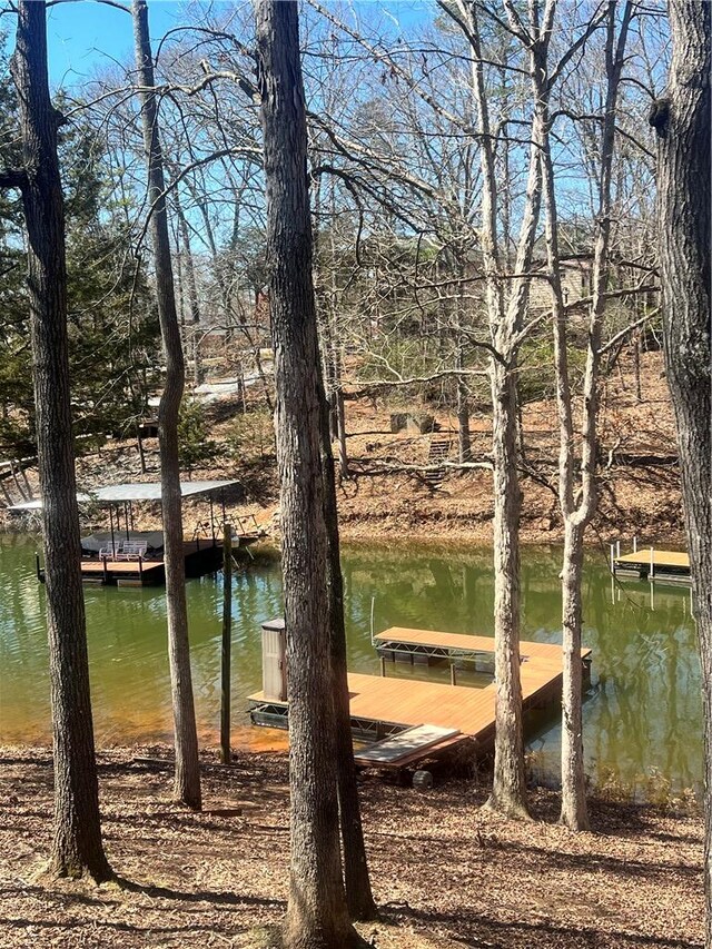 503 Lakewood Dr, Townville, SC 29689 - photo 26