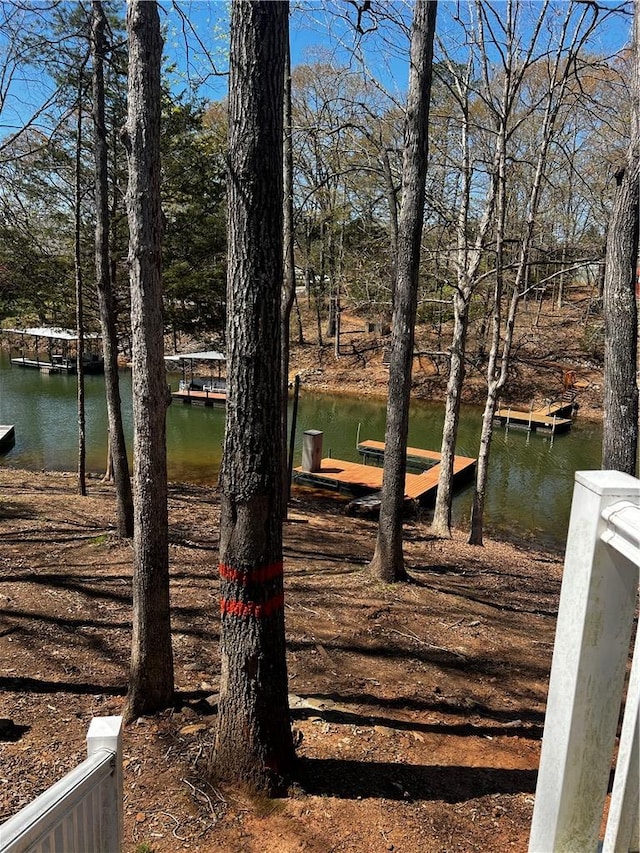 503 Lakewood Dr, Townville, SC 29689 - photo 22
