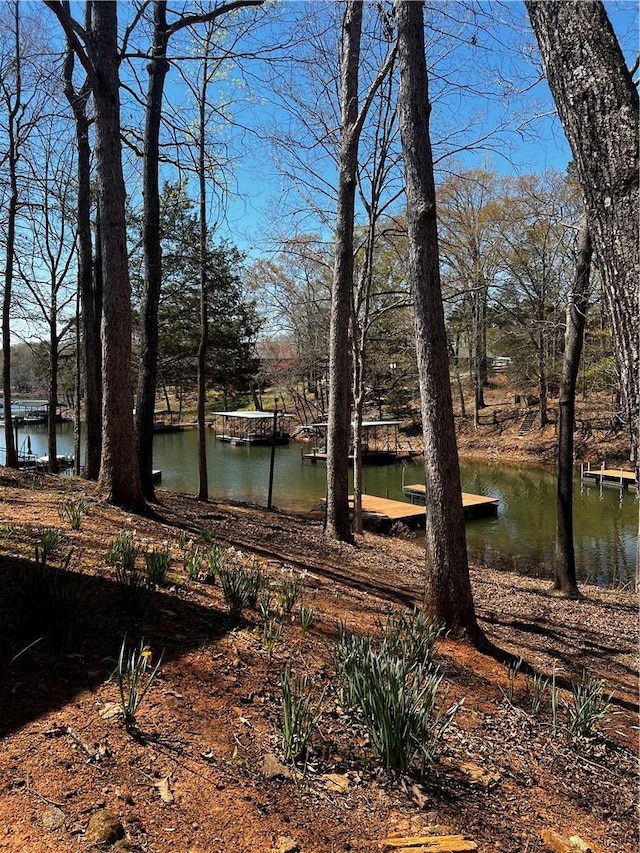 503 Lakewood Dr, Townville, SC 29689 - photo 24