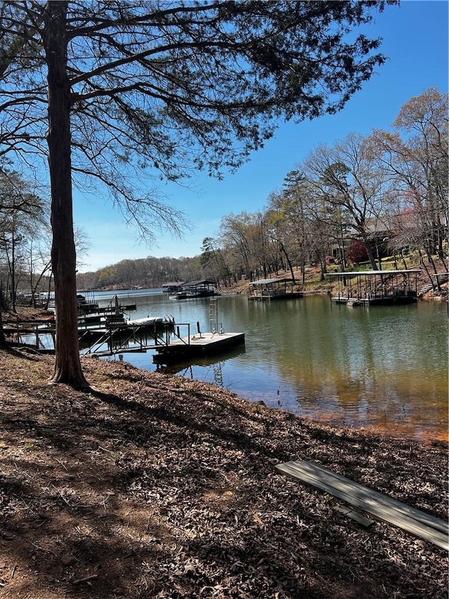 503 Lakewood Dr, Townville, SC 29689 - photo 25