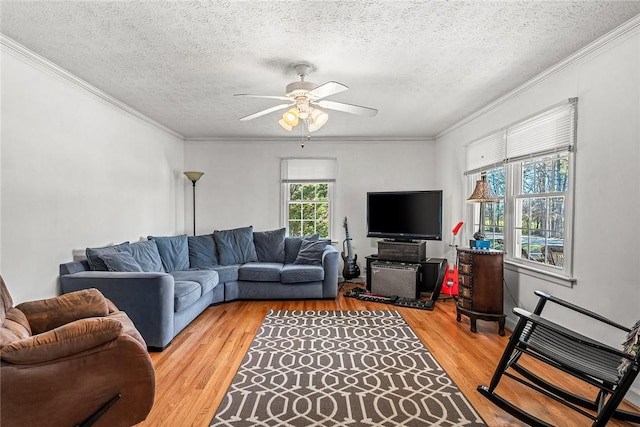 living area with ceiling fan, a textured ceiling, light wood-style floors, and ornamental molding