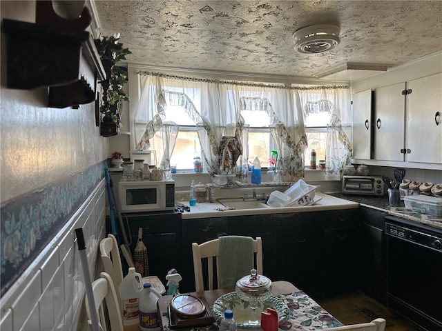 kitchen featuring white microwave, a healthy amount of sunlight, dishwasher, and a textured ceiling