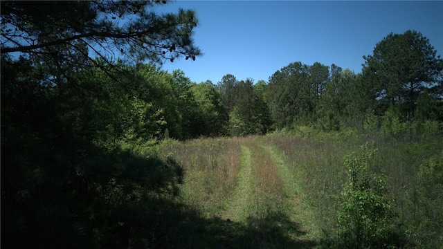 Listing photo 2 for 00 Griggs Rd, Six Mile SC 29682