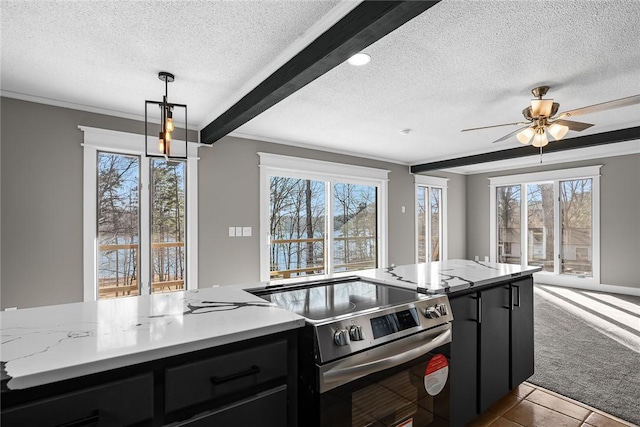 kitchen with electric range, light colored carpet, plenty of natural light, and dark cabinetry