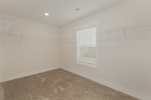 walk in closet featuring visible vents and carpet floors