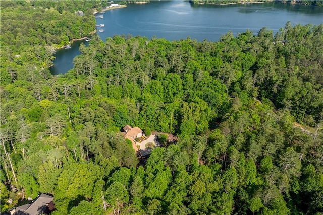104 Sweetshrub Way, Sunset, SC 29685 - aerial view of a forest and a large body of water