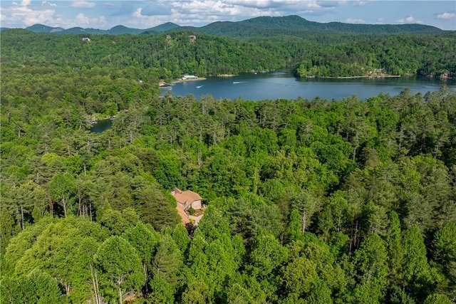 104 Sweetshrub Way, Sunset, SC 29685 - aerial overview of property's location with a heavily wooded area and a water and mountain view