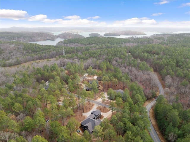 505 Bellhaven Ct, Salem, SC 29676 - aerial view with a wooded view and a water view