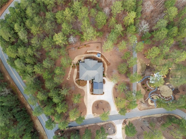 505 Bellhaven Ct, Salem, SC 29676 - birds eye view of property