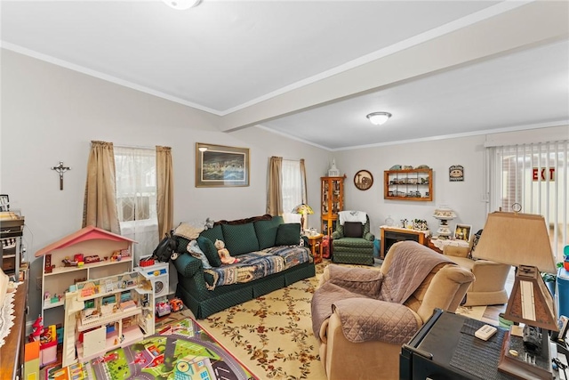 living area featuring ornamental molding