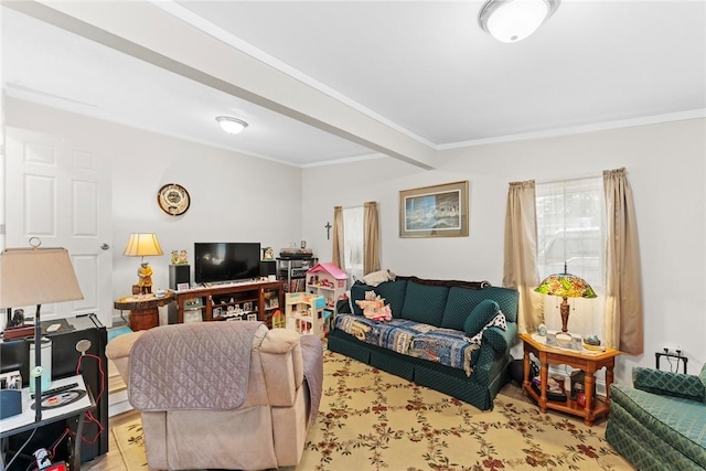 living area with ornamental molding