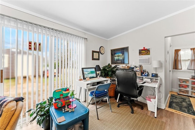 office with crown molding, baseboards, and wood finished floors