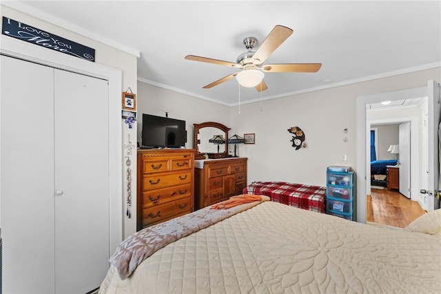 bedroom featuring wood finished floors, a ceiling fan, a closet, and ornamental molding