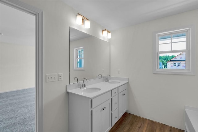 bathroom with double vanity, a wealth of natural light, and a sink