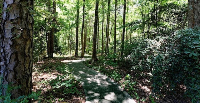 view of nature with a view of trees