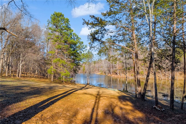 water view featuring a view of trees