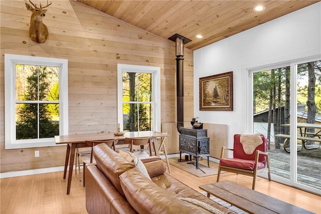 living area featuring wooden walls, a healthy amount of sunlight, and a wood stove