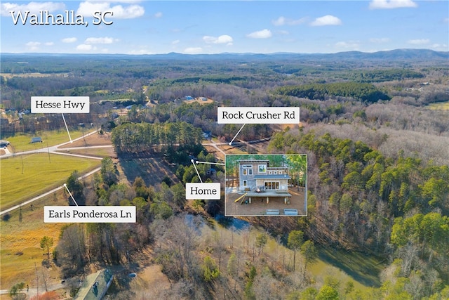 aerial view with a mountain view and a wooded view