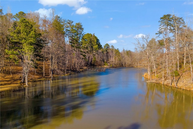 water view with a forest view