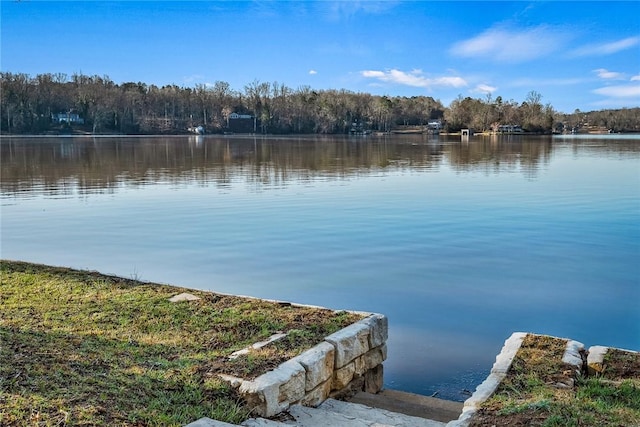 property view of water with a wooded view