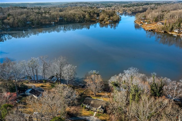 bird's eye view with a view of trees and a water view