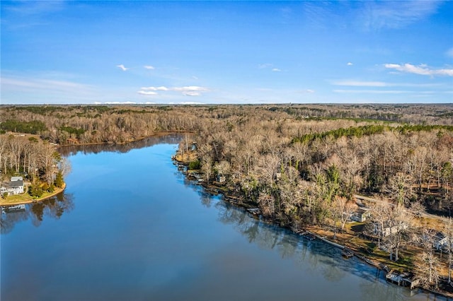 aerial view featuring a water view and a view of trees