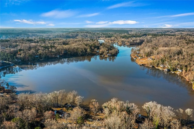 bird's eye view with a wooded view and a water view