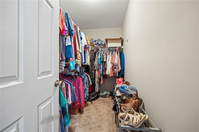 walk in closet featuring carpet flooring