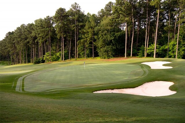 view of community featuring a lawn and view of golf course