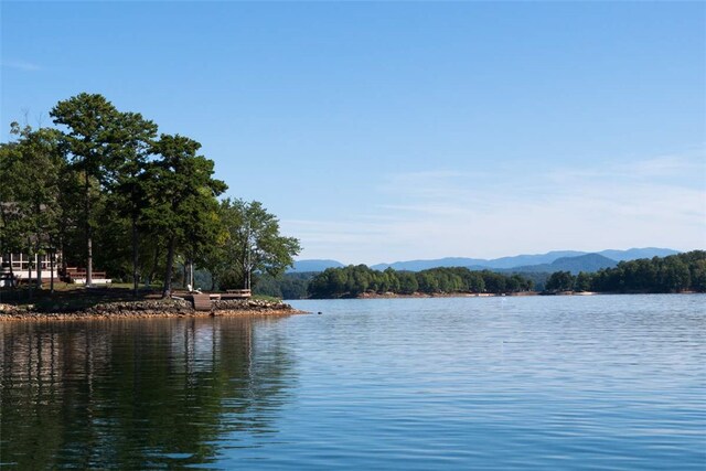 property view of water featuring a mountain view