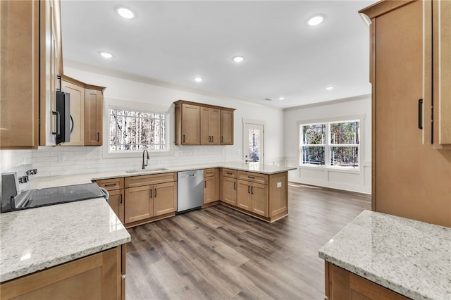 kitchen featuring decorative backsplash, a peninsula, dark wood-style floors, stainless steel appliances, and a sink