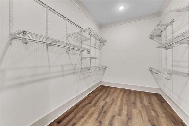 spacious closet with dark wood-style floors