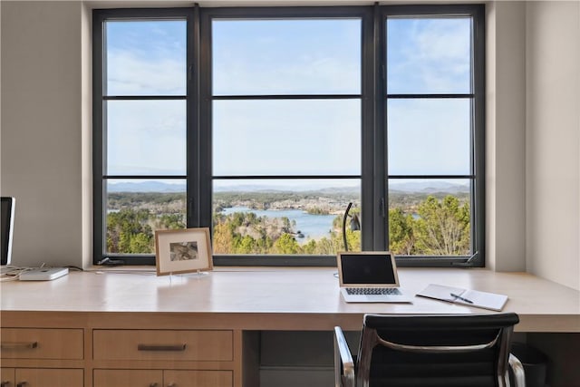 home office with a water view and plenty of natural light