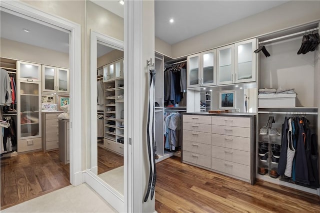 spacious closet with wood finished floors