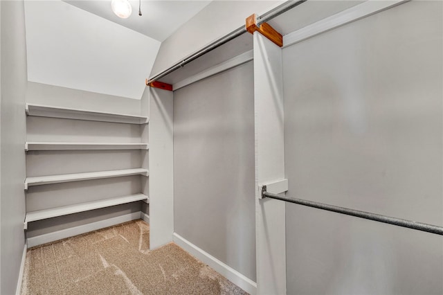 walk in closet with carpet floors