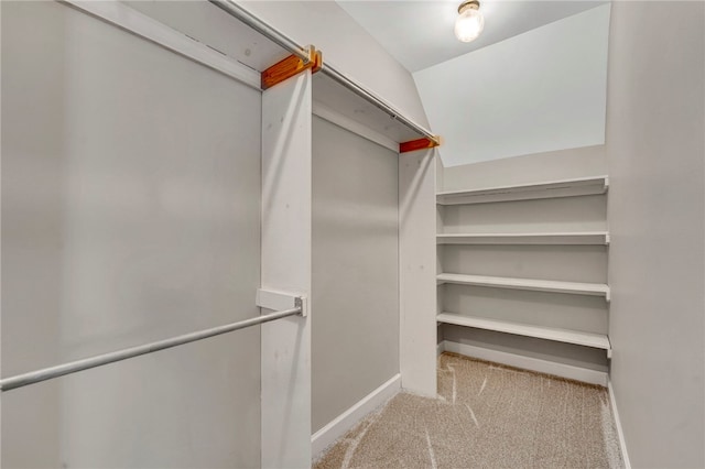 spacious closet with carpet