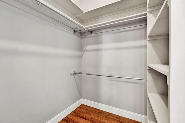 walk in closet featuring wood finished floors