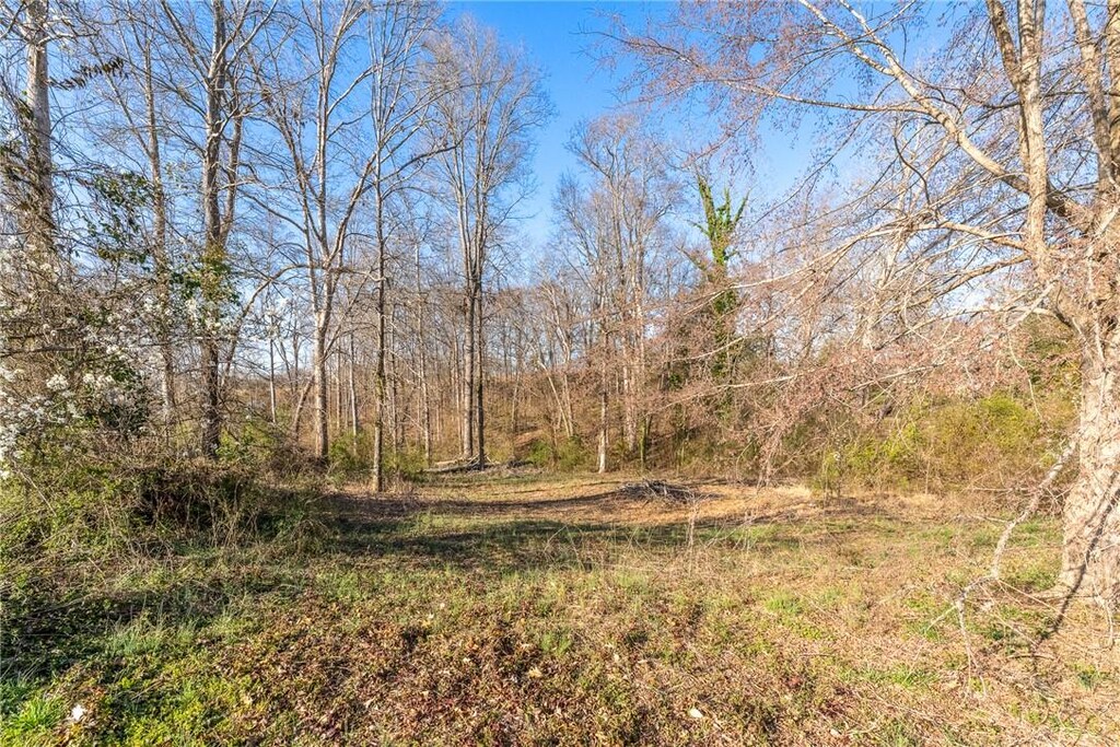 106 Woodshore Dr, Anderson, SC 29625 - photo 1