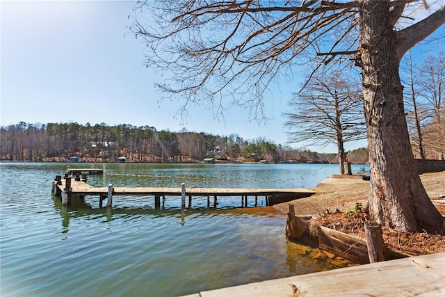 view of dock with a water view