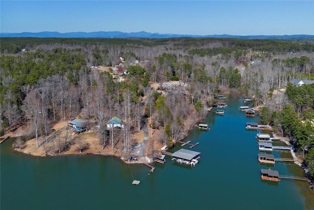 birds eye view of property featuring a view of trees and a water and mountain view