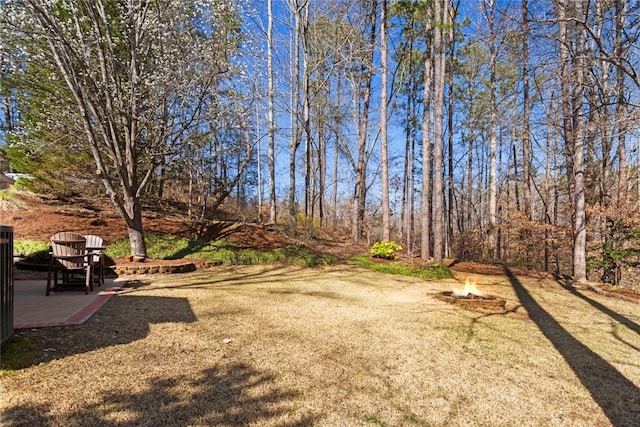 view of yard featuring a patio area and an outdoor fire pit