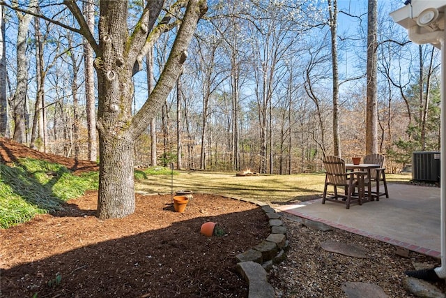 view of yard featuring a patio and central AC unit