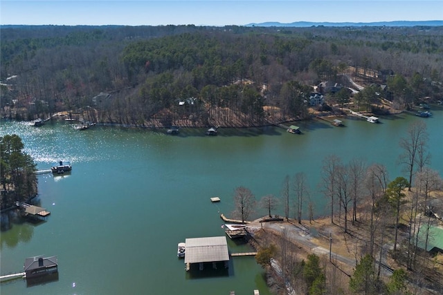 bird's eye view featuring a view of trees and a water view