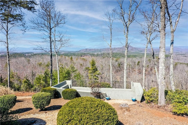 160 Julie Way, Pickens, SC 29671 - view of yard with a mountain view and a view of trees