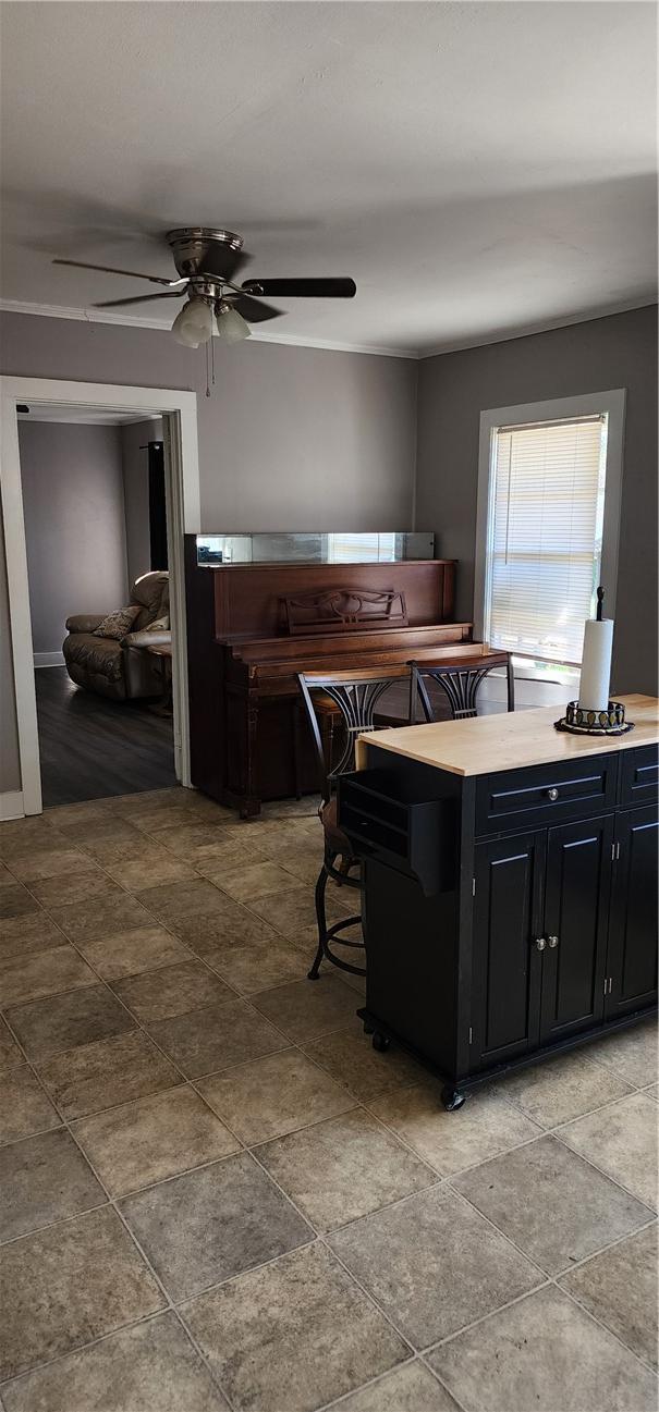 kitchen featuring light countertops, dark cabinets, and ceiling fan