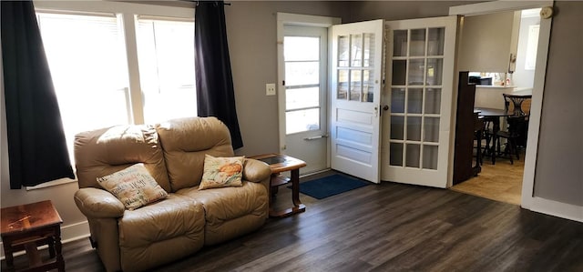 living room with dark wood finished floors