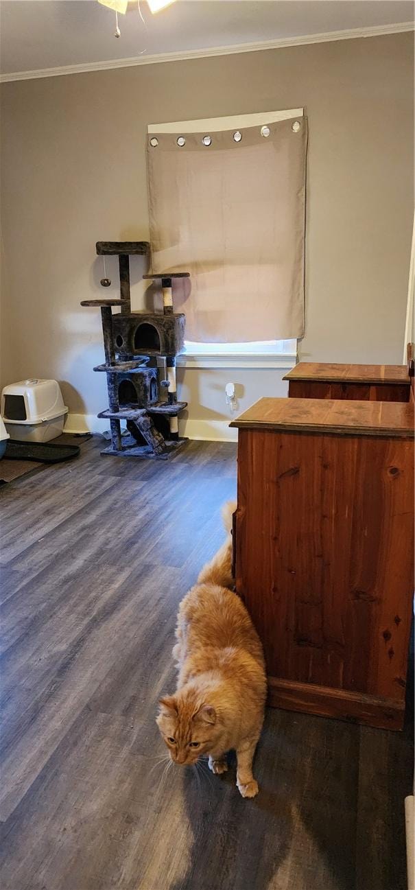 interior space with wood finished floors and crown molding