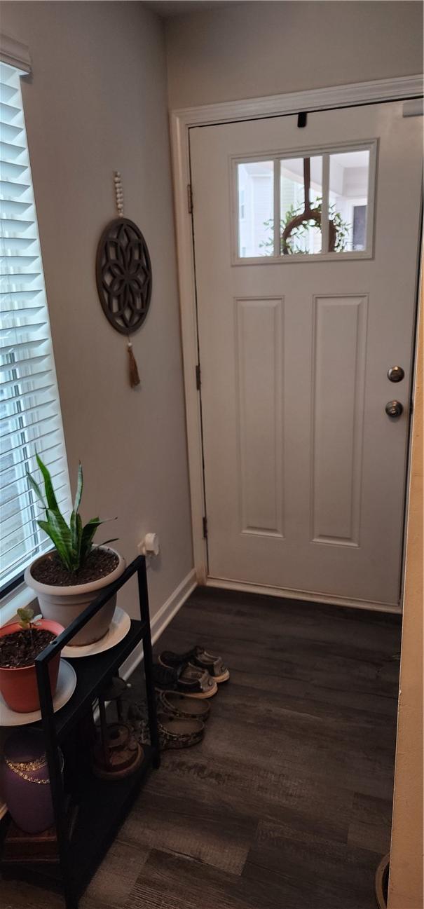 entrance foyer featuring baseboards and dark wood-style floors