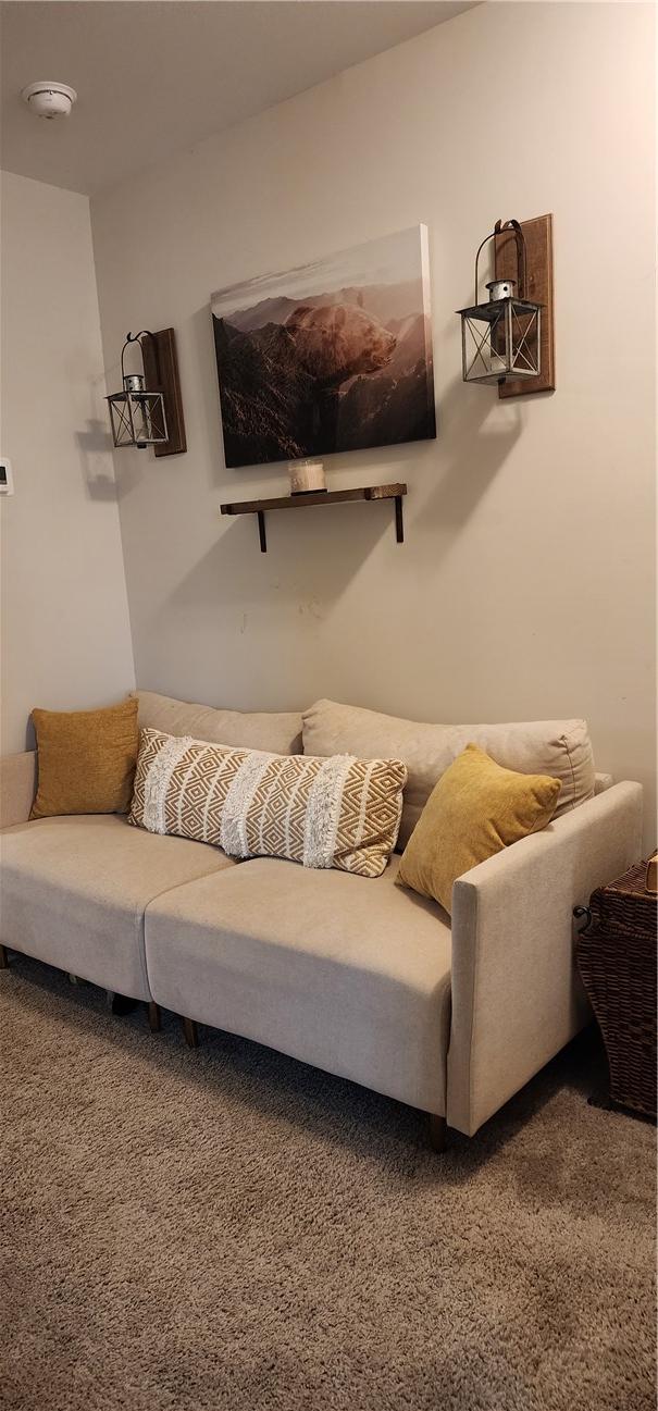 view of carpeted living area