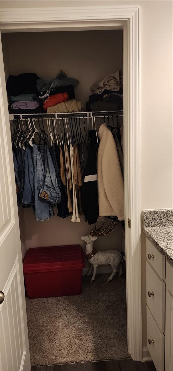 view of closet